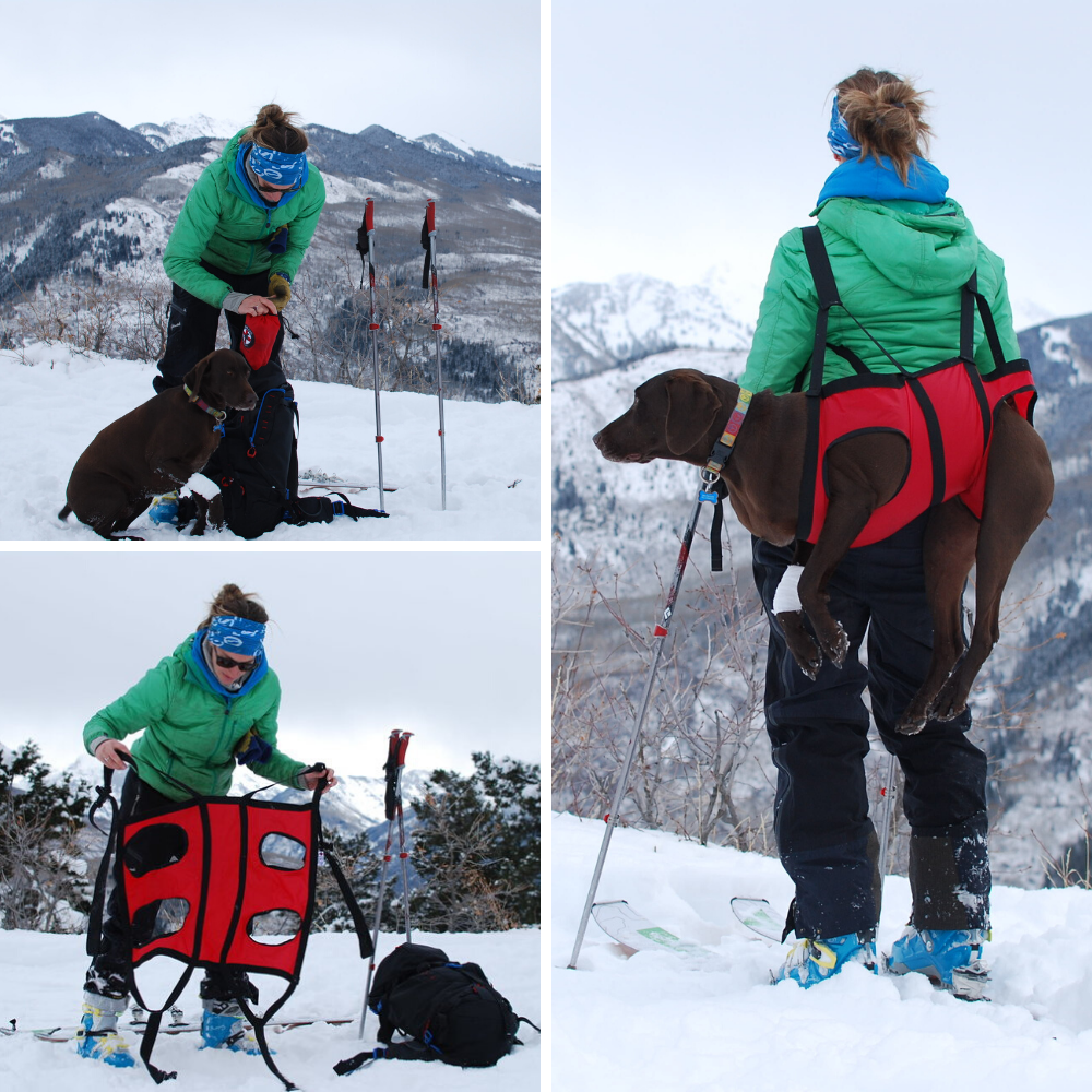 Dog 2024 rescue backpack