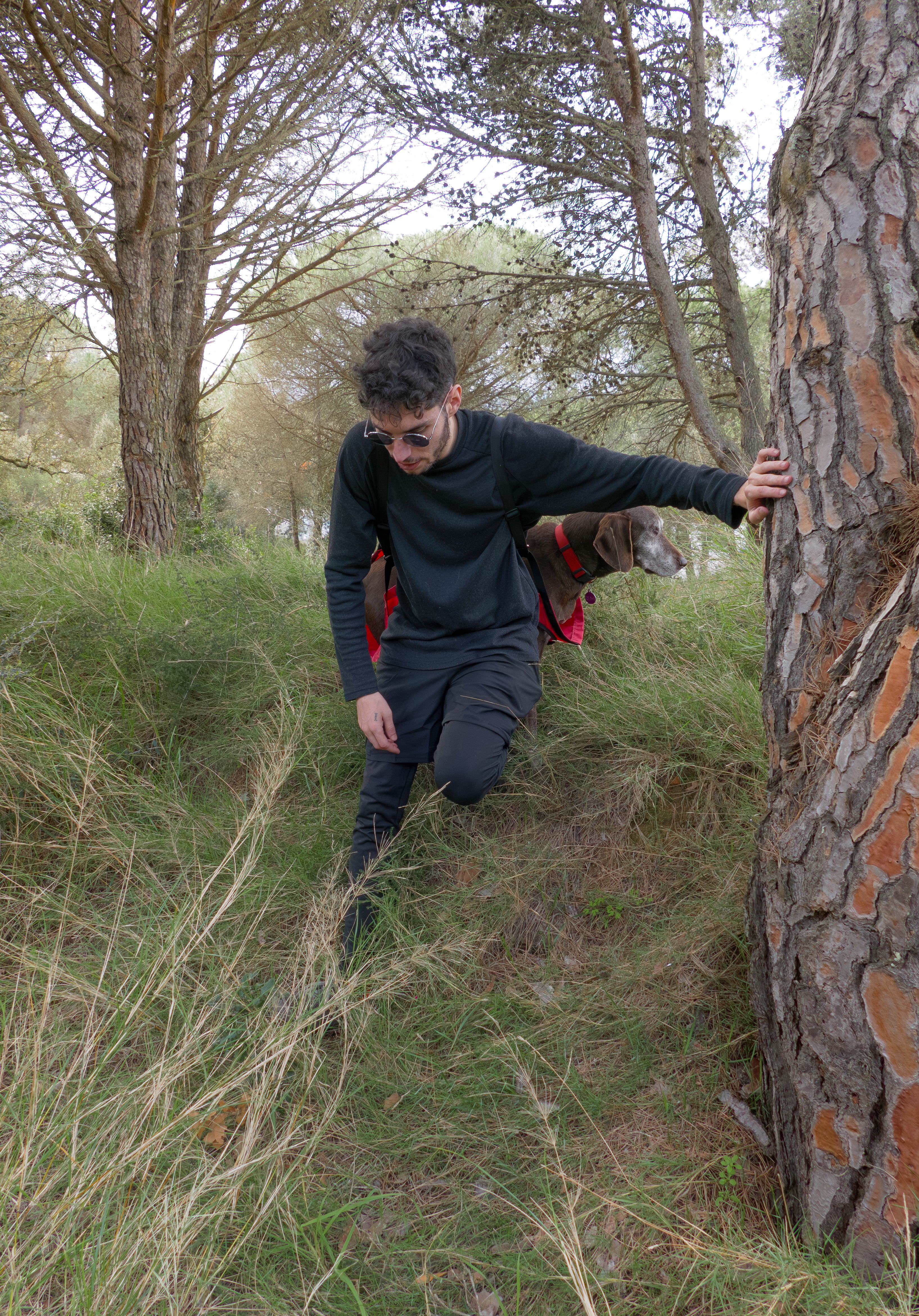 Pro Tips: Lifting & Carrying Your Dog