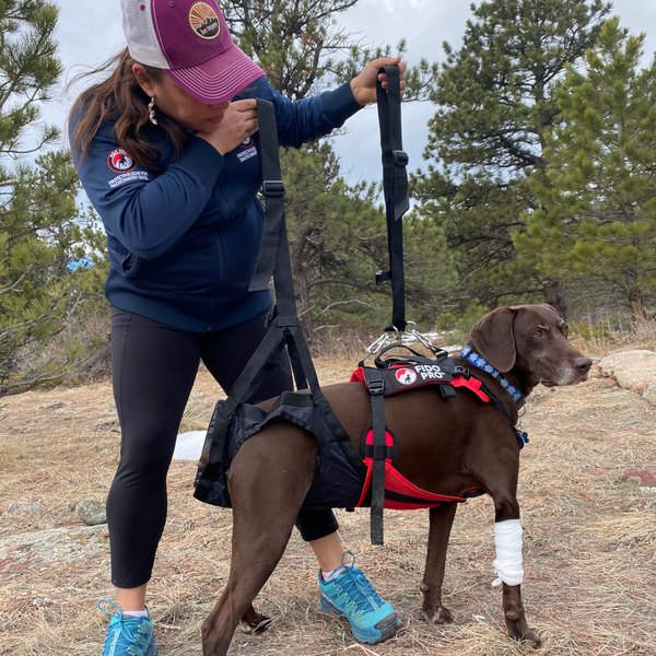 Emergency leash hot sale