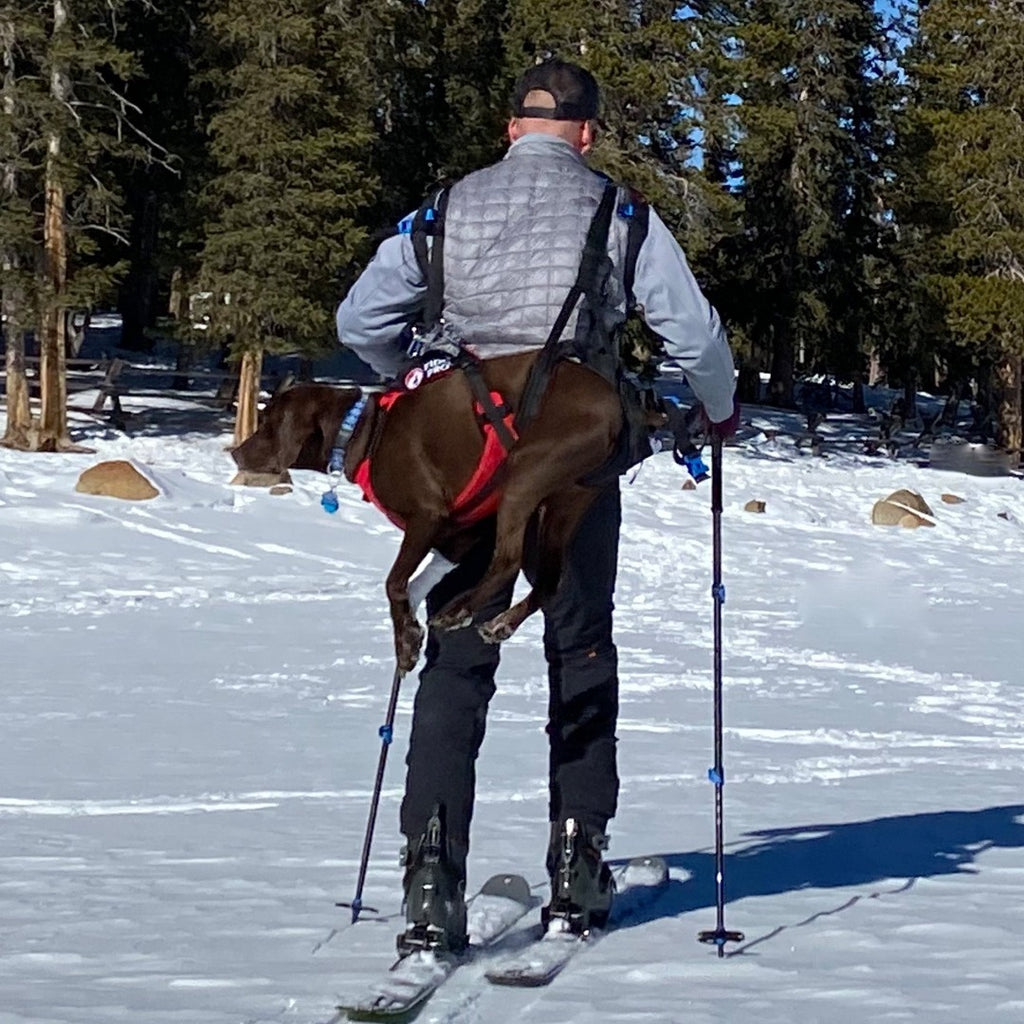 The Panza Harness with Deployable Emergency Dog Rescue Sling Fido Pro